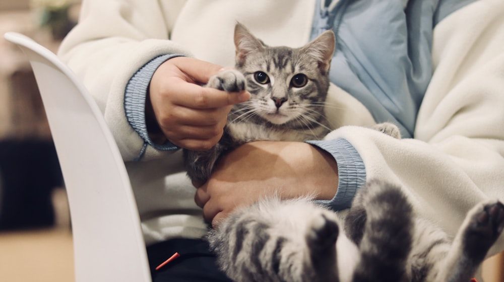 Cómo conseguir más clientes en tu clínica veterinaria