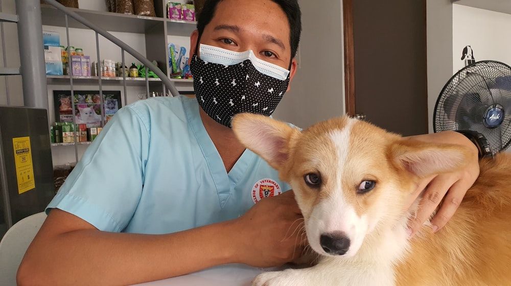 Cómo fijar los precios en tu clínica veterinaria